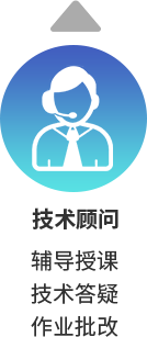 技术顾问